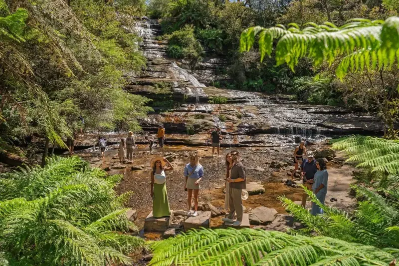 Visitors beside a stepped forest waterfall
