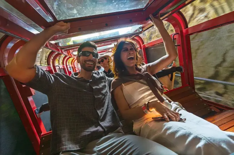 Passengers inside the Scenic Railway carriage