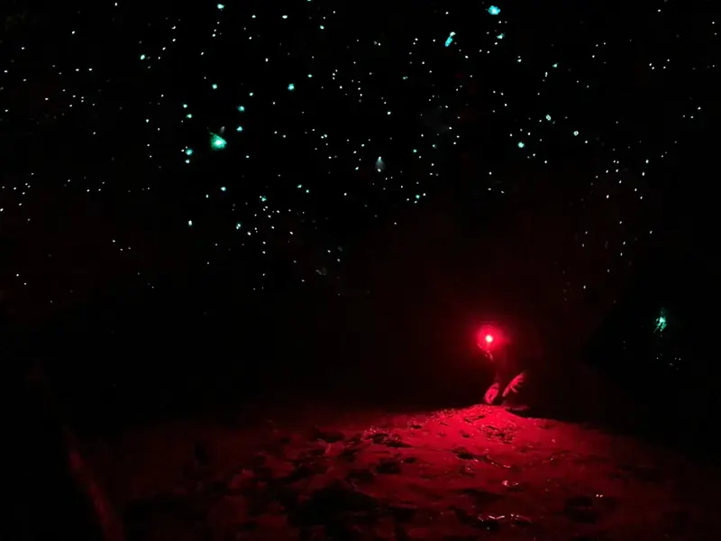 Red headlamp light beneath glowing points in the cave