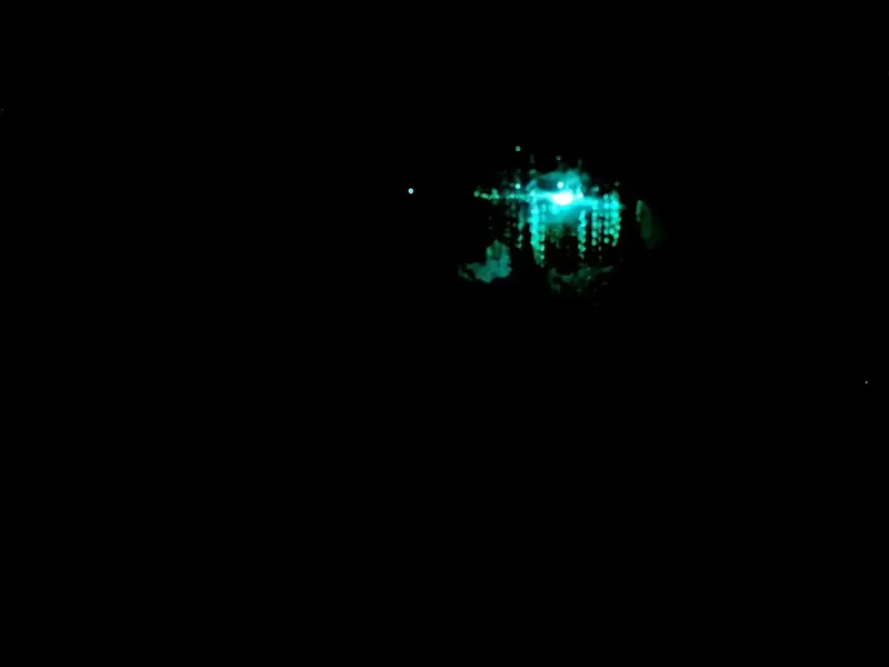 Glow-worm light in a dark cave