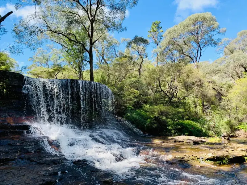 Water flowing over a broad forest cascade