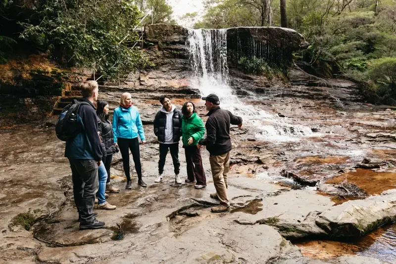 Guide and group beside a forest cascade