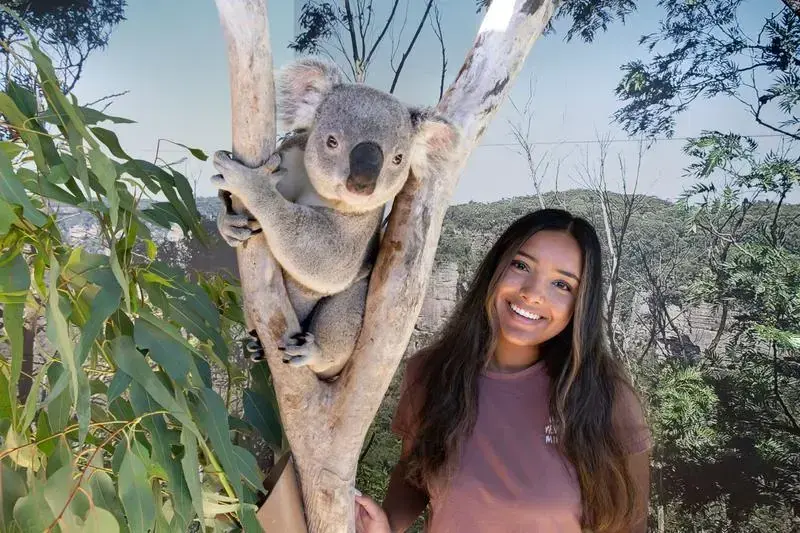 Koala photo opportunity — optional zoo visit