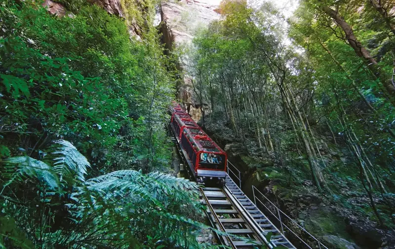 Scenic Railway descending into the forest